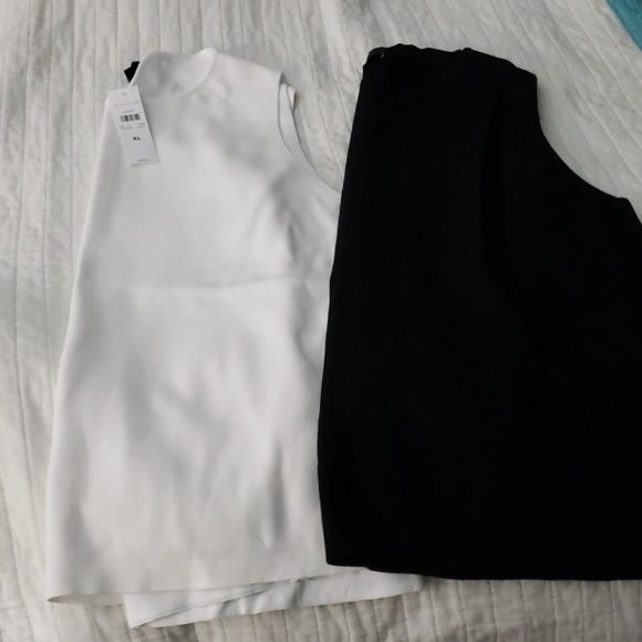 Meet your Posher, Reina - Picture 8 of 8